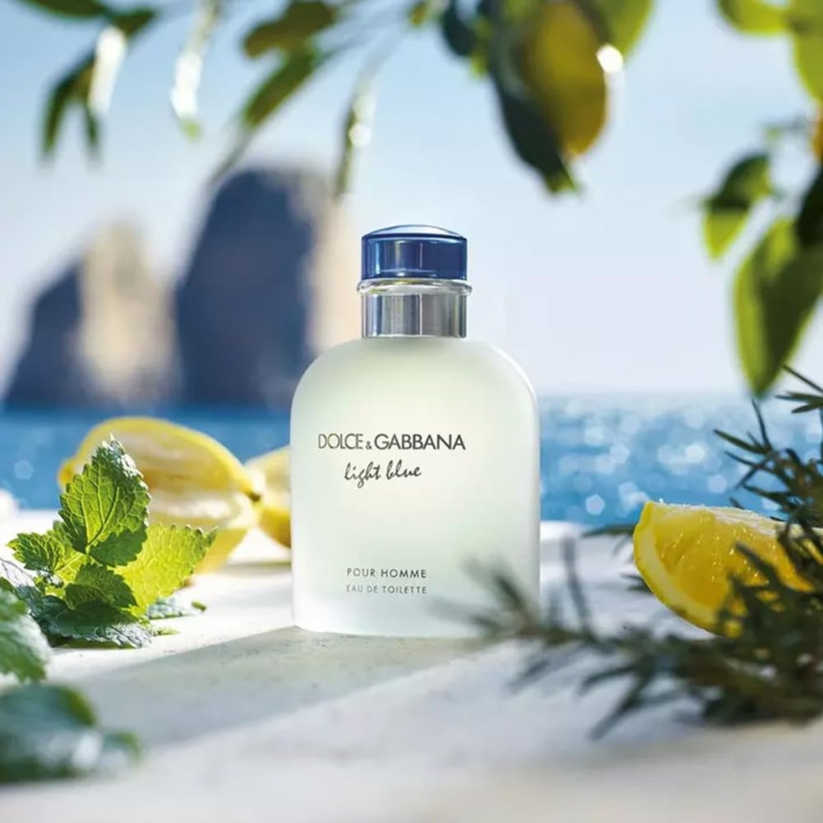 Dolce & Gabbana Light Blue Pour Homme, Eau De Toilette Spray, Fragrance For Men - Perfume Headquarters - Dolce & Gabbana - 3423473020509 - Fragrance