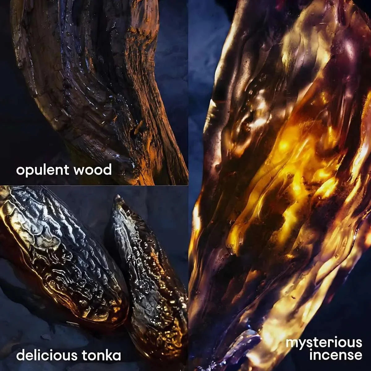 Invictus Victory Elixir