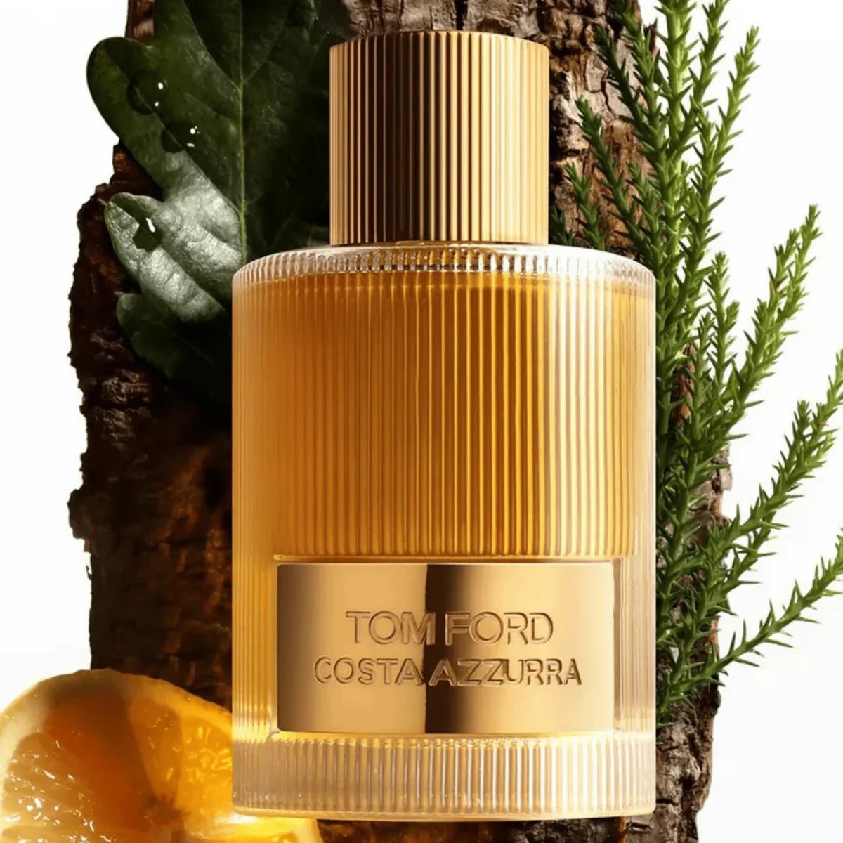 Tom Ford Costa Azzurra Parfum 3.4 oz - 888066136785