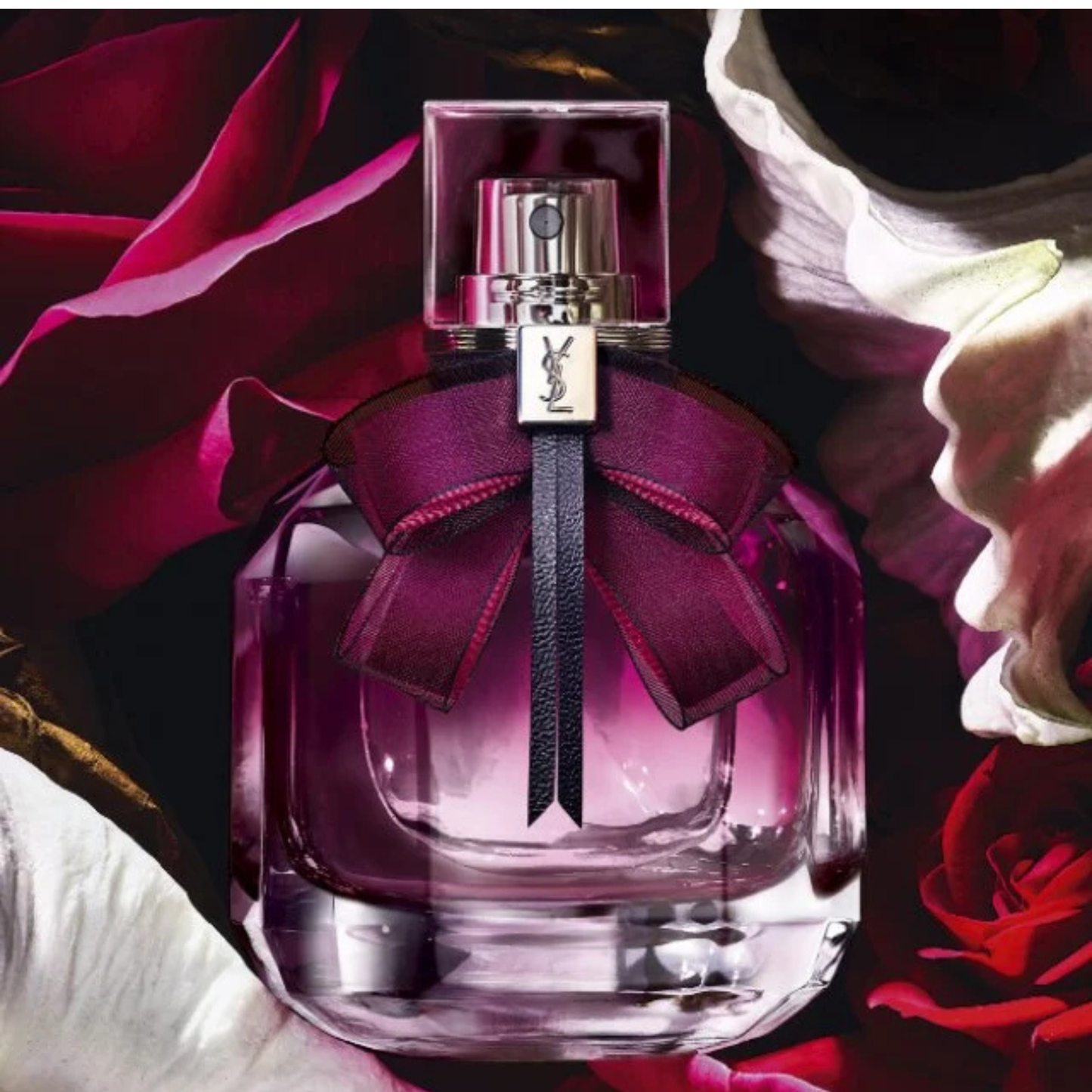 Mon Paris Intensement