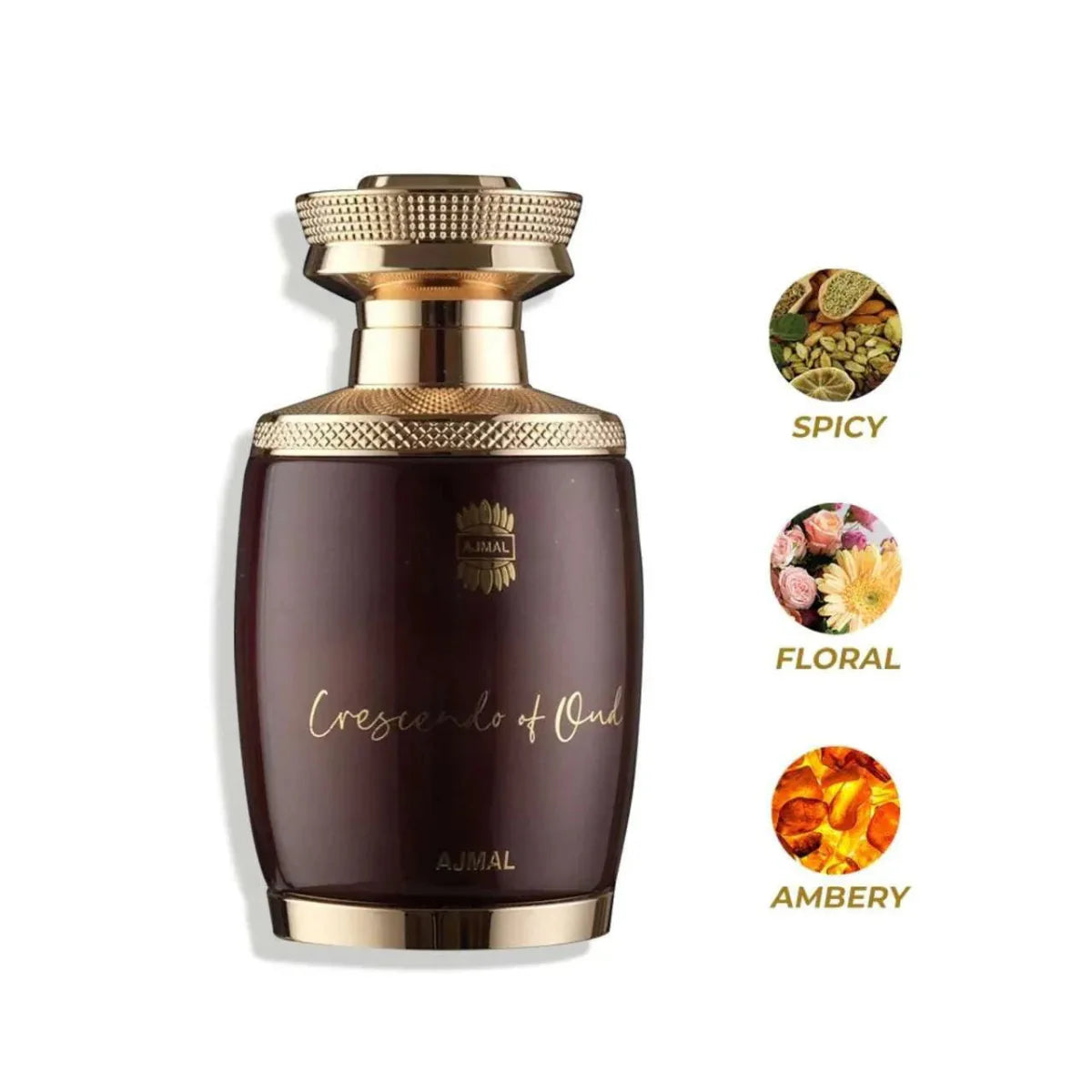 Crescendo Oud
