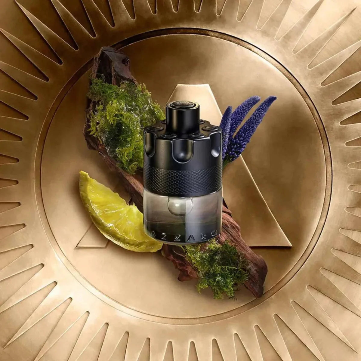 The Most Wanted Intense