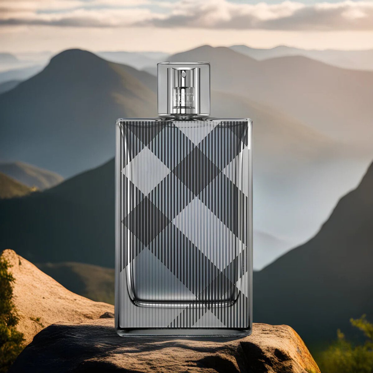 Burberry brit eau de toilette for him online