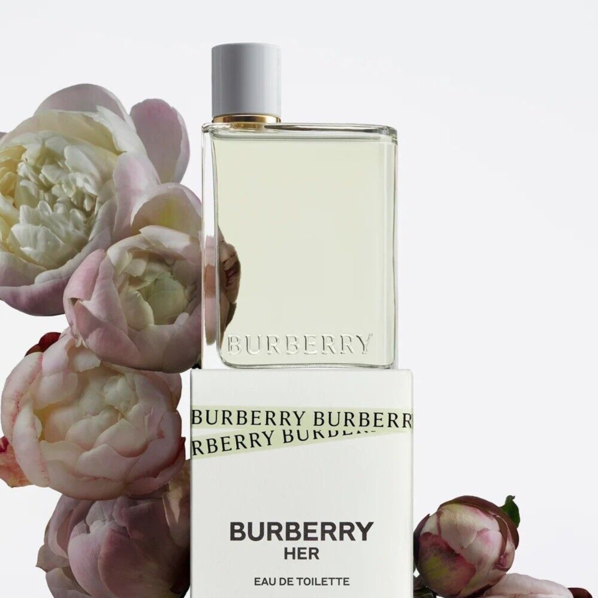 Burberry Her edp 3 .3oz/100ml new online in box