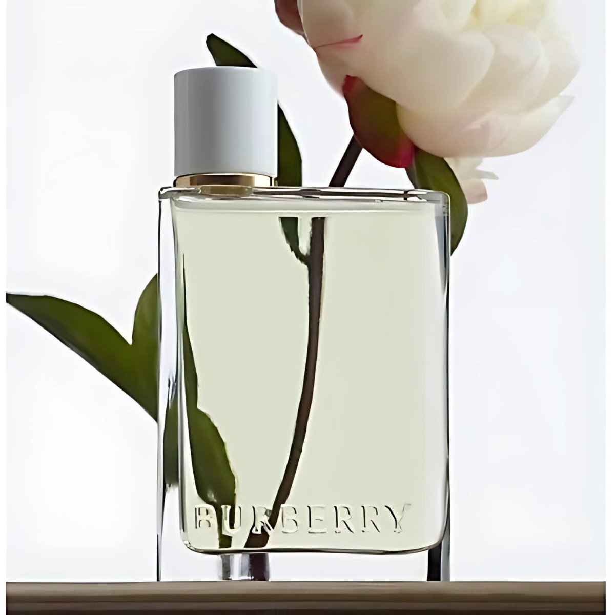 Burberry Her edp 3 .3oz/100ml shops new in box