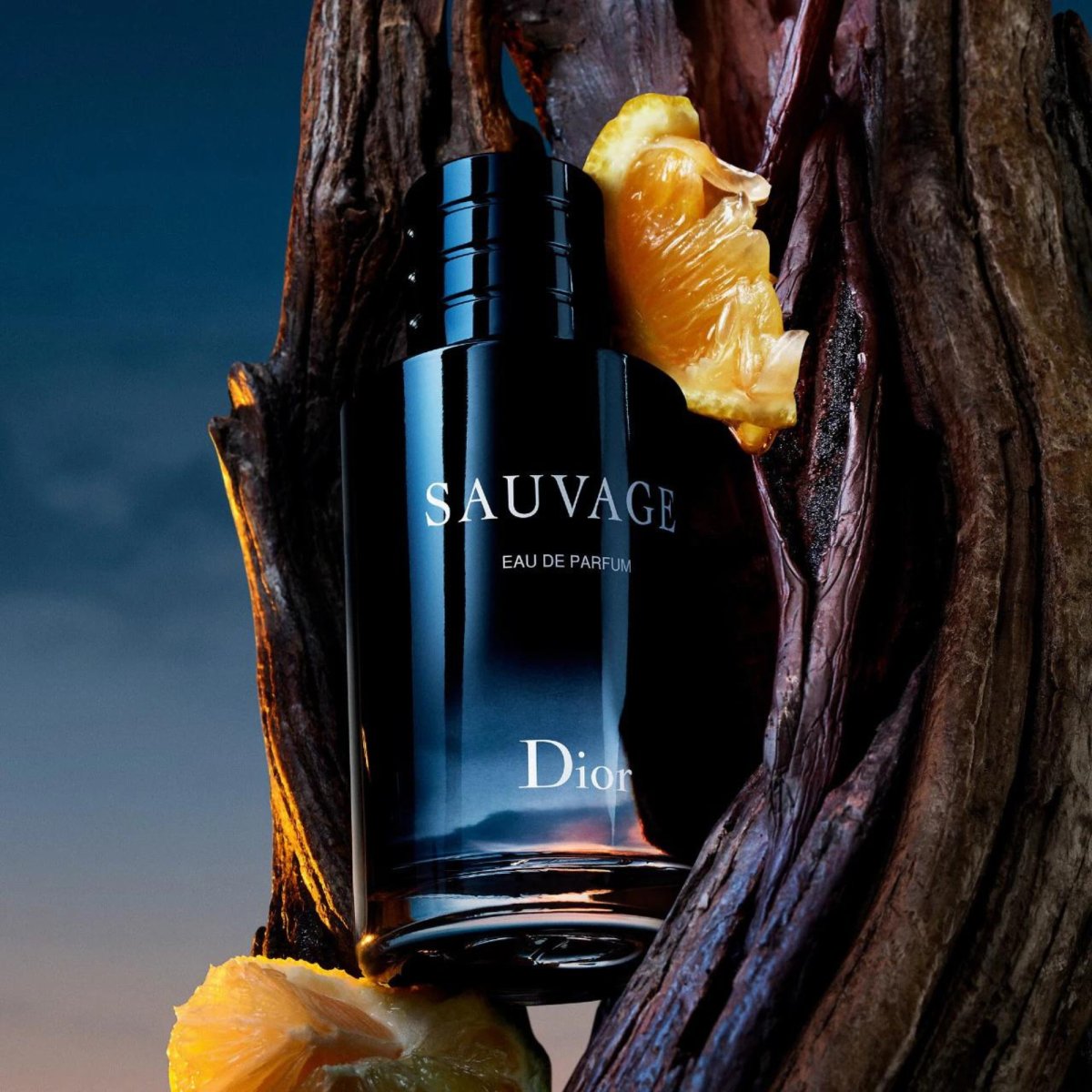 Christian dior sauvage edt online