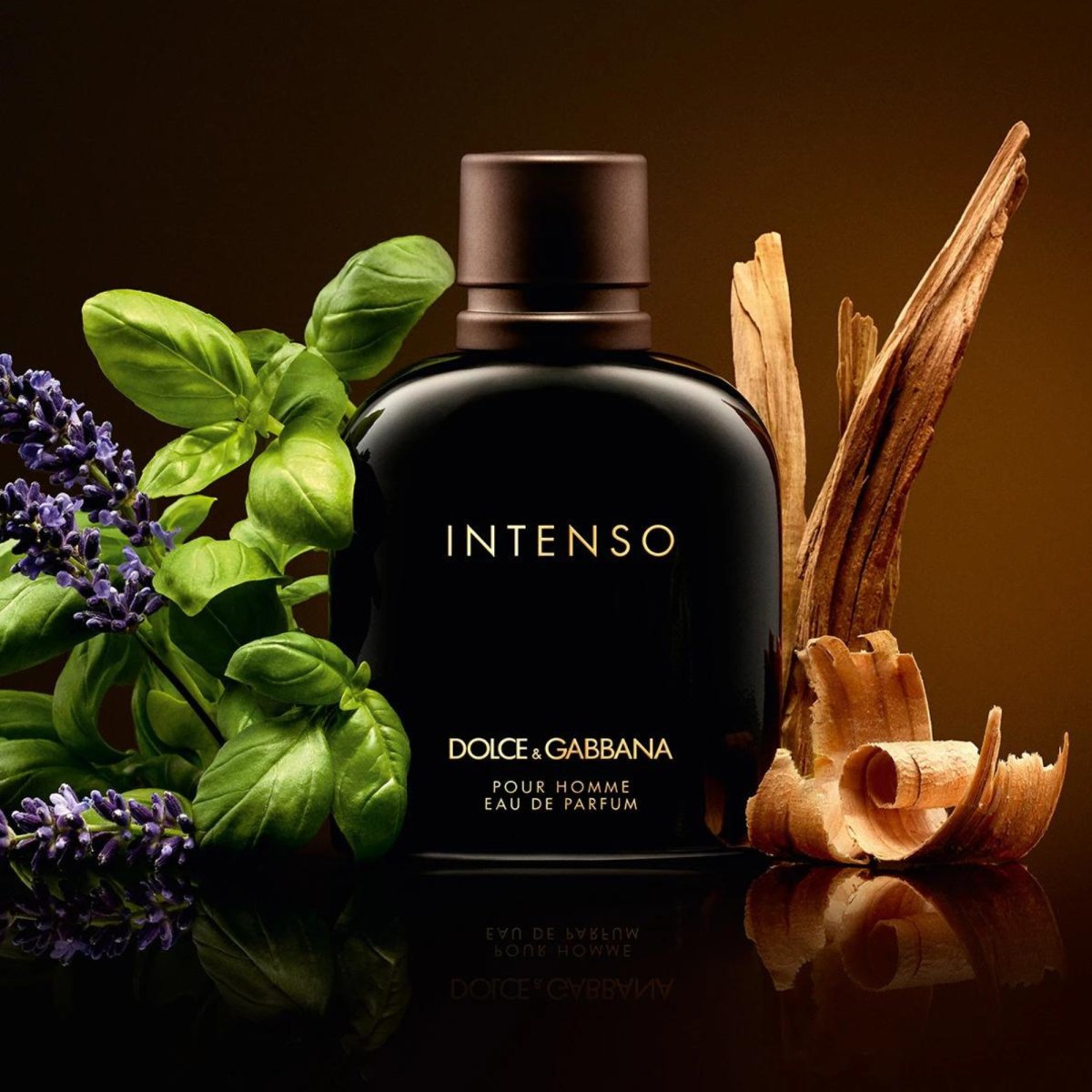 Intenso dolce and gabbana reviews online