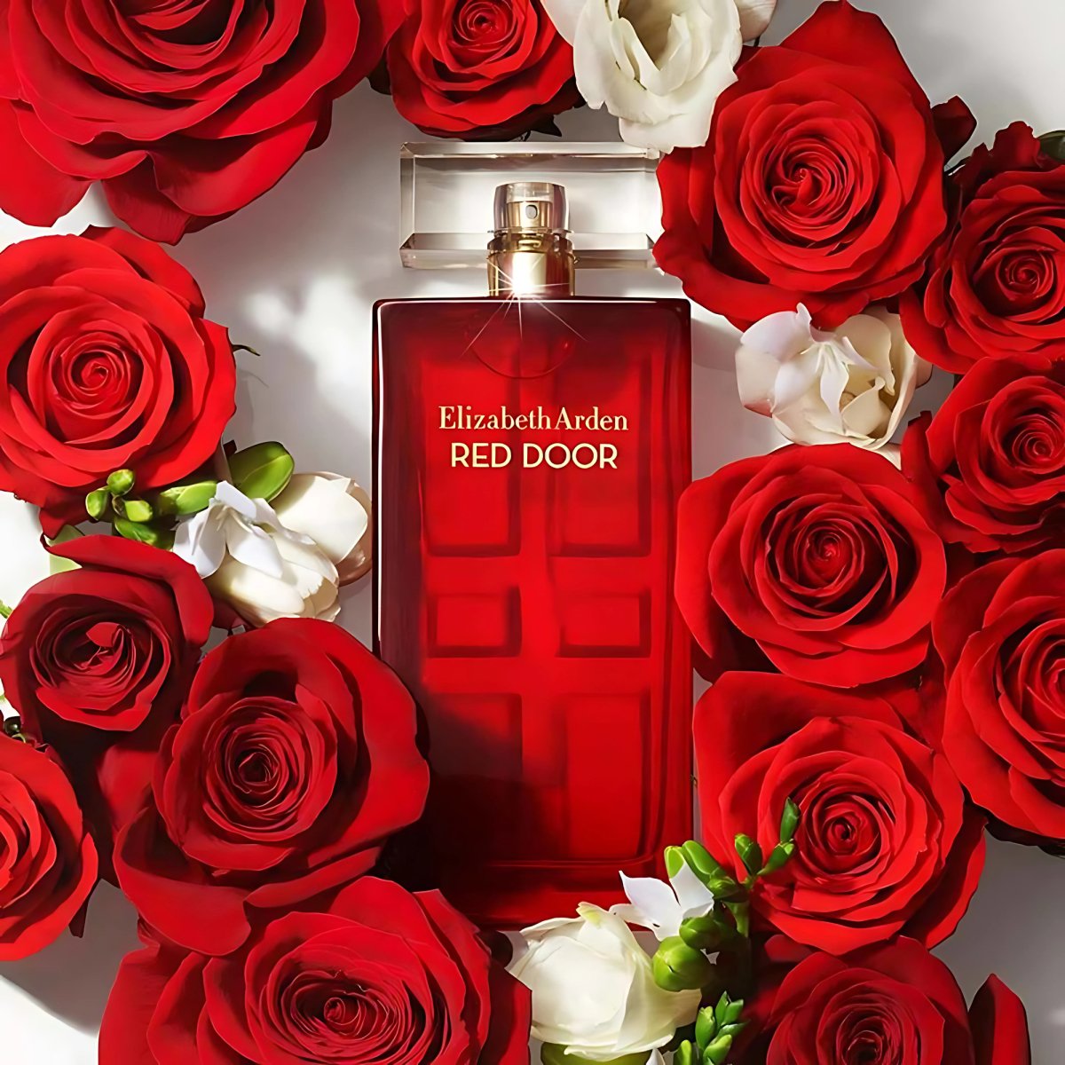 Elizabeth Arden Red Door Gift Set - 085805255176