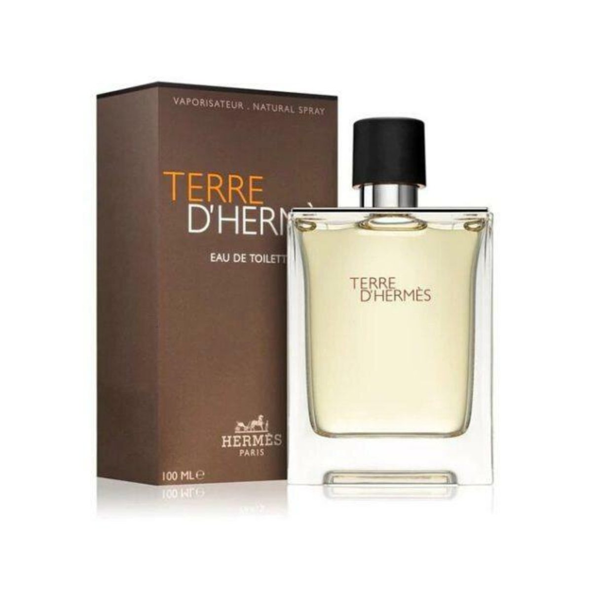 Terre D'Hermes By Hermes 3.3 outlets oz 100 ml Eau De Toilette Spray - Brand New No Box