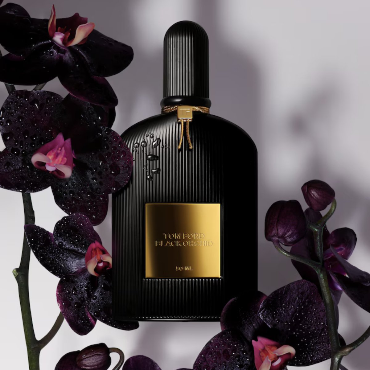 Tom Ford Black Orchid 3.4 oz - Parfum - Fragrance - 888066000079